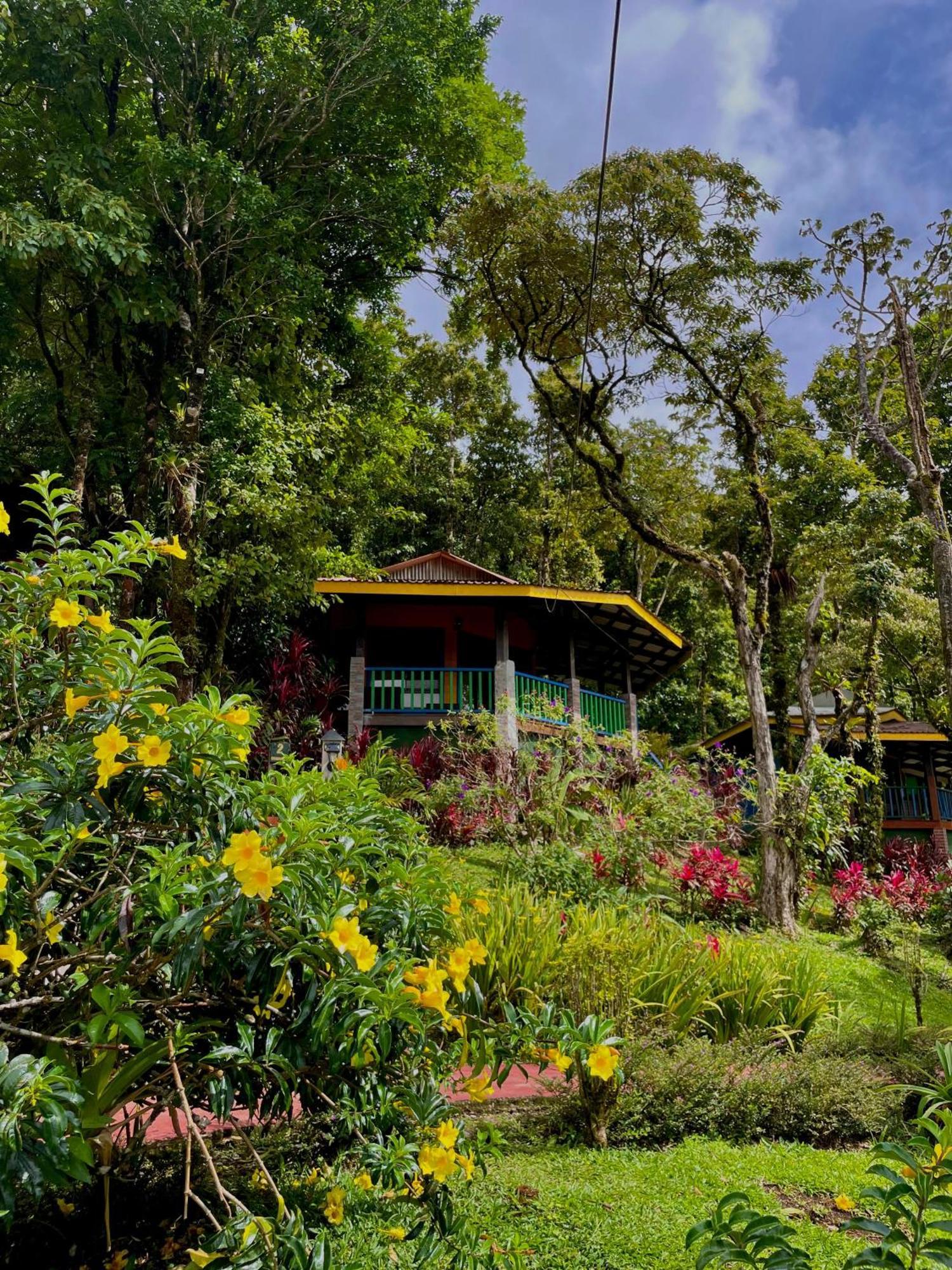 Heliconias Rainforest Lodge Bijagua de Upala Exterior foto